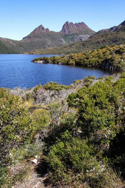 istock Tasmania's Cradle Mountain 952695958