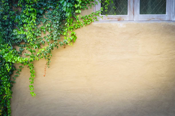 istock Vintage window with branch tree, Background for vintage resort hotel 952711252