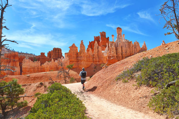 One young man hiking in Bryce Canyon National Park. Peekaboo Trail loop. One young man hiking in Bryce Canyon National Park. Peekaboo trail loop. bryce canyon stock pictures, royalty-free photos & images