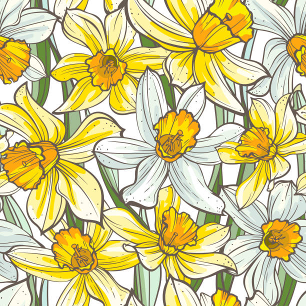 白い背景にシームレスな花柄。手描き水仙花- - primrose white background flower nature点�のイラスト素材／クリップアート素材／マンガ素材／アイコン素材