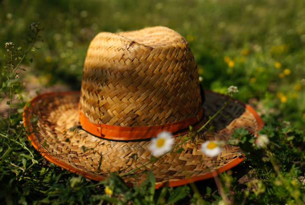 istock Straw hat on green grass with blurred daisies 952725750
