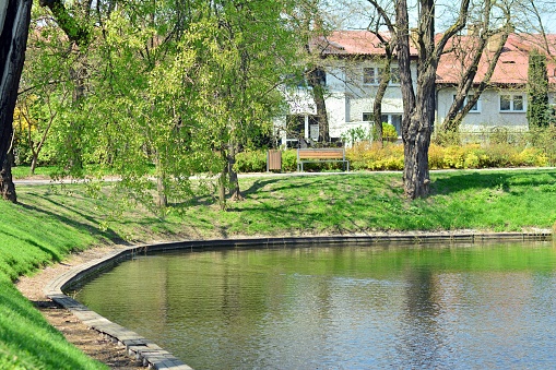 Spring Park. Lake in the spring park.