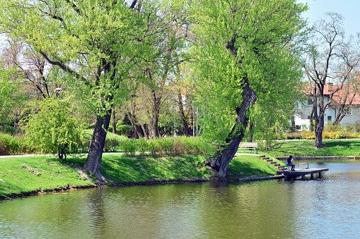 Spring Park. Lake in the spring park.