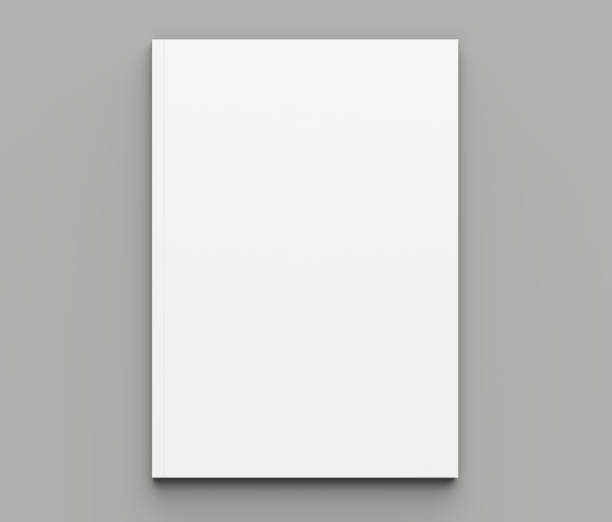 istock Soft cover brochure, magazine, book or catalog mock up isolated on gray background. 3D illustrating 952734302