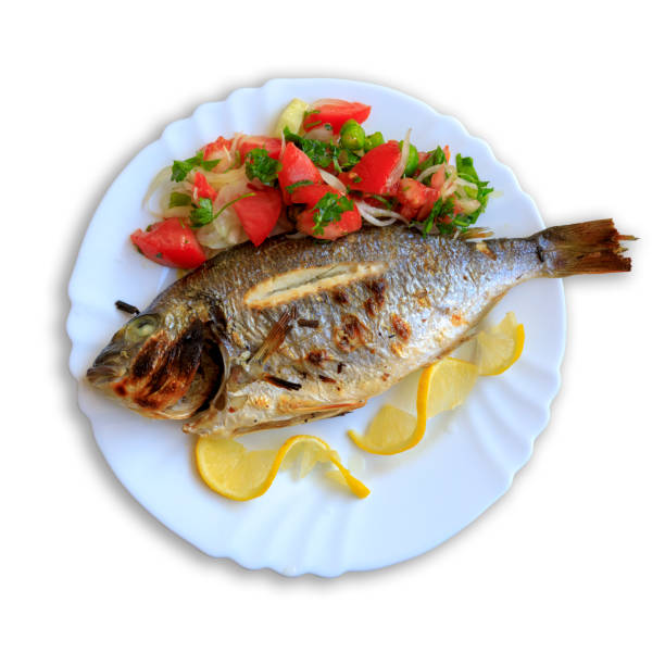 Salmon with salad in plate