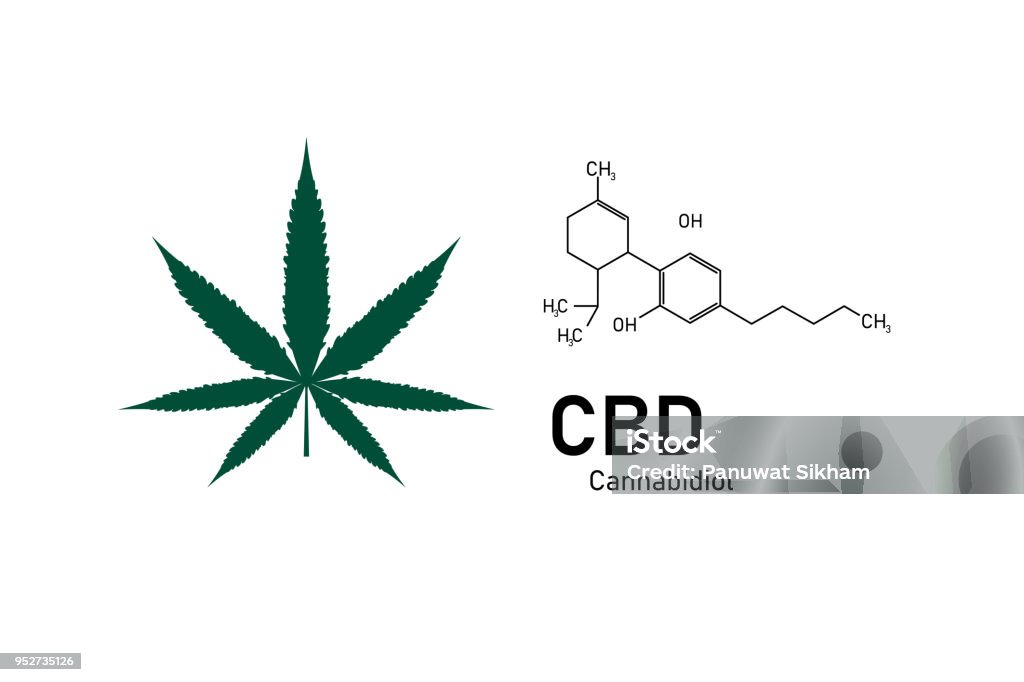 molecular structure medical  chemistry formula cannabis of the formula CBD,vector illustration Molecule stock vector