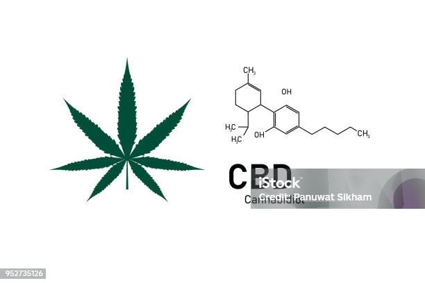 Molecular Structure Medical Chemistry Formula Cannabis Of The Formula Cbdvector Illustration Stock Illustration - Download Image Now