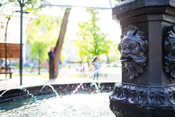 Photo of Lion water fountain in a park.