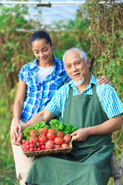istock Family harvesting vegetables from garden 952742700
