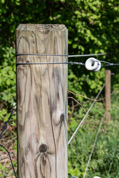 istock electric pasture fence 952753316