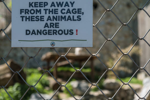 istock Warning sign on animal cage 952754262