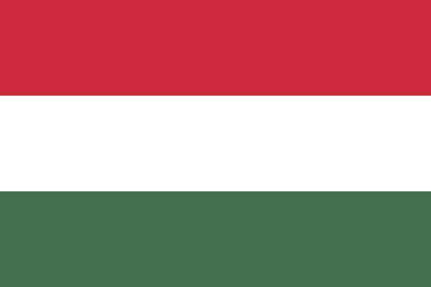 flagge in den farben von ungarn, vektor-bild - hungary stock-grafiken, -clipart, -cartoons und -symbole