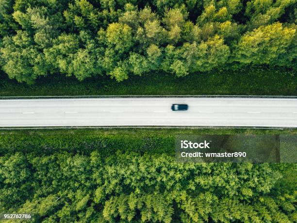 Aerial View Of Green Summer Forest With A Road Stock Photo - Download Image Now - Road, Car, Aerial View