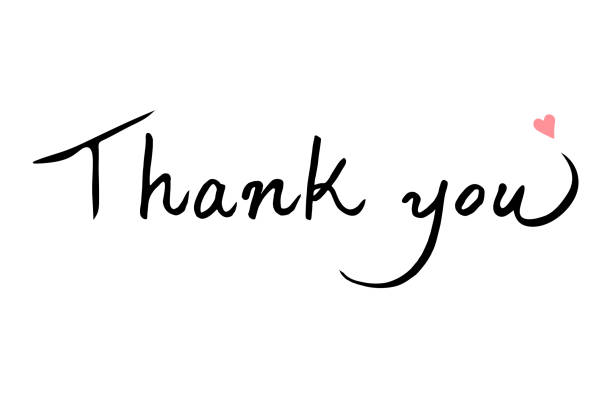 istock Thank you calligraphy with heart.Hand drawn lettering. 952763724