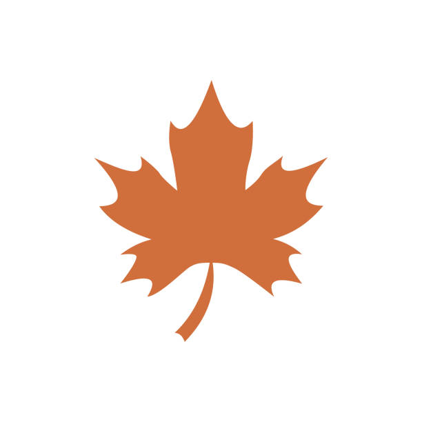 maple leaf thanksgiving feiertage flache symbol vektor - ahornblatt stock-grafiken, -clipart, -cartoons und -symbole