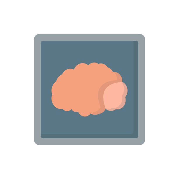 ilustrações, clipart, desenhos animados e ícones de ícone do cérebro raio x órgão humano doente medicina vector plana - human heart x ray image anatomy human internal organ