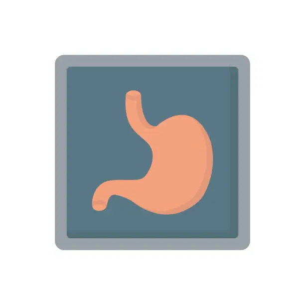 Vector illustration of Stomach X-ray human organ medicine flat vector icon