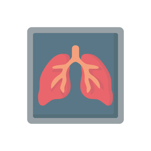 ilustrações, clipart, desenhos animados e ícones de ícone de vetor plana pulmões raio x órgão humano medicina - human heart x ray image anatomy human internal organ