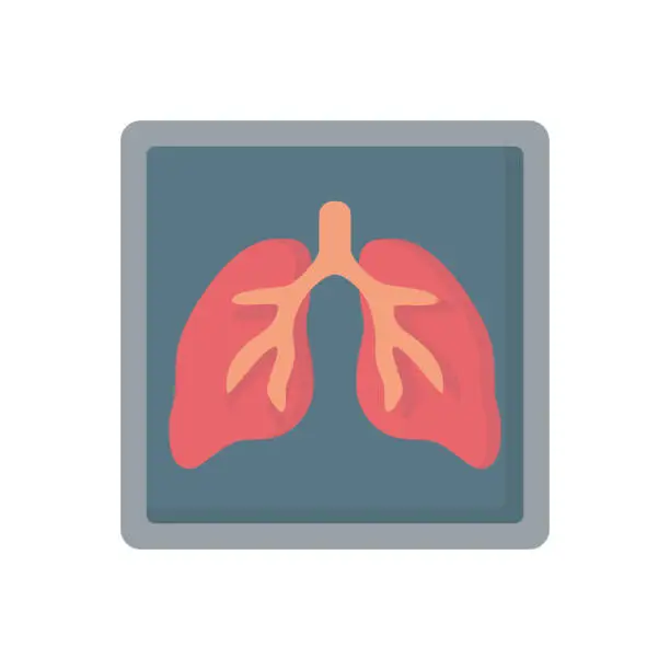Vector illustration of Lungs X-ray human organ medicine flat vector icon