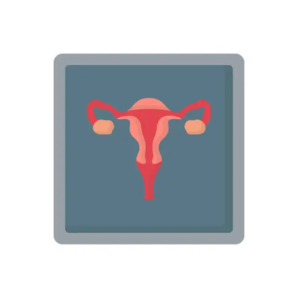 Vector illustration of Uterus X-ray human organ medicine flat vector icon