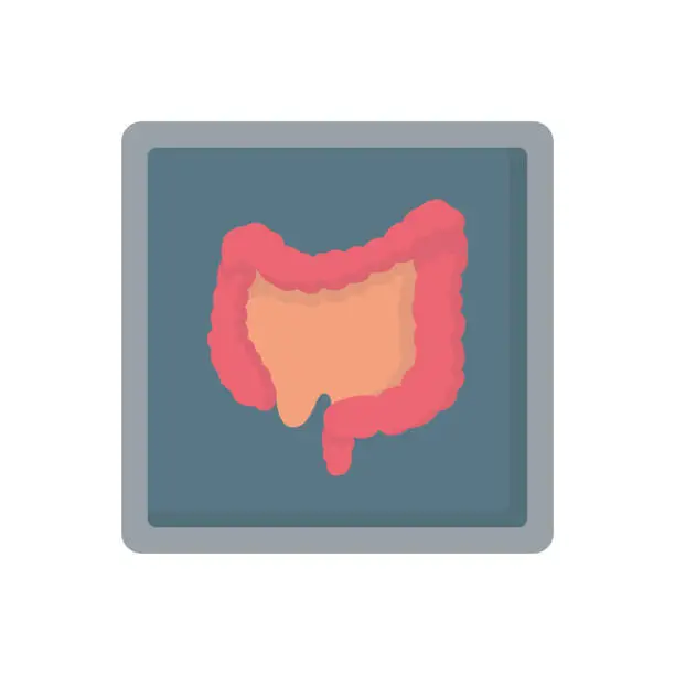 Vector illustration of Intestine X-ray human organ medicine flat vector icon