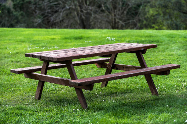 istock Wooden picnic table and bench in garden 952778818