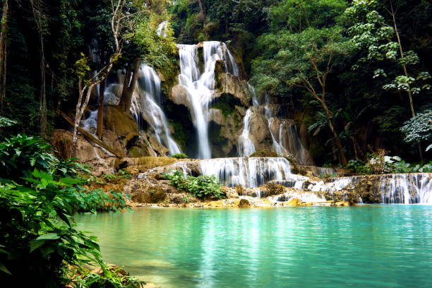 istock Kuang Si waterfall near Luang Prabang, Laos 952779224