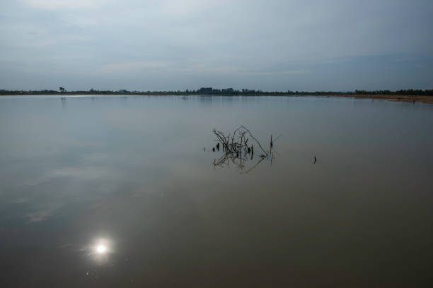 Rural practice of  putting sticks and twigs into lakes and ponds to attract fish then nets are used to surround and catch the fish.