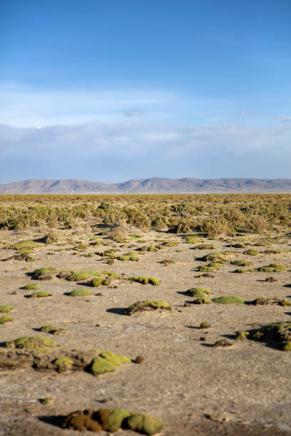 istock Dali Desert in Bolivia 952783906