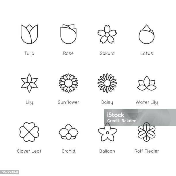 Flower Icon Thin Line Series Stock Illustration - Download Image Now - Flower, Icon Symbol, Sunflower