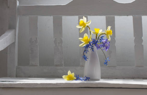 istock spring flowers in vase on white wooden bench 952793664