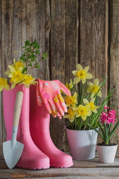 istock rubber boots and spring flowers on wooden background 952793684