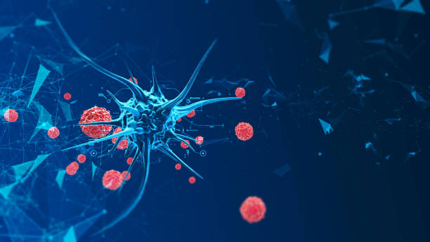 7,282 Animal Cell Microscope Stock Photos, Pictures & Royalty-Free Images - iStock 7,282 Animal Cell Microscope Stock Photos, Pictures & Royalty-Free Images - iStock