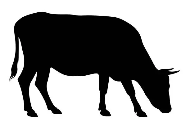 Vector illustration of Cow