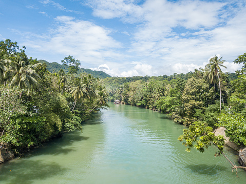 Drone point of view aerial of tropical river in the Philippines palm trees\nHigh angle view shot with drone, Visayas Islands tropical climate