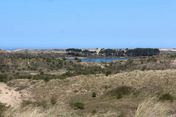 istock Dunes landscape, national park kennemerland zuid in the Netherlands, during spring 952811894