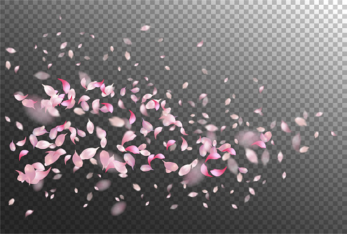 Vector pink flying petals with blurred defocused transparent detail