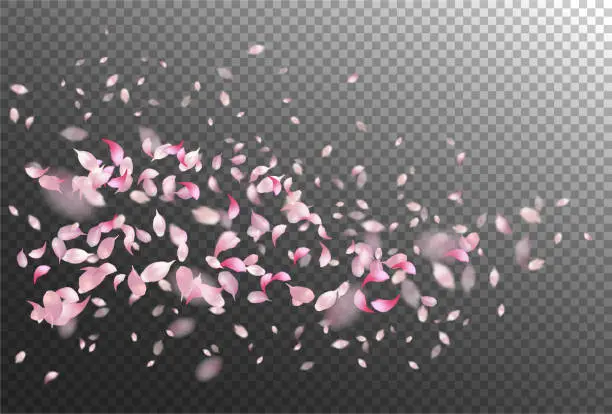 Vector illustration of Petals Flying Background