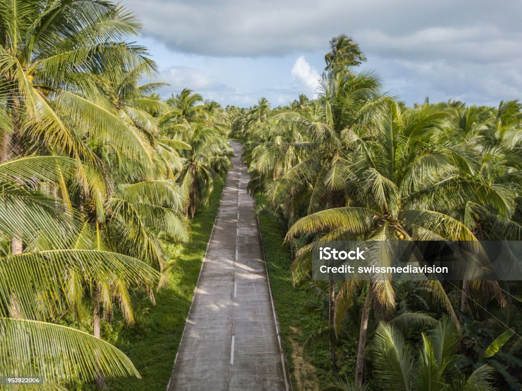 Drone point of view of palm trees and road in the Philippines Drone point of view of palm trees and road in the Philippines, aerial view from drone. No people travel destinations nature environment concept Philippines Stock Photo