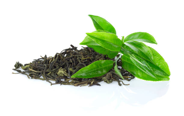 feuille de thé vert. - culture du thé photos et images de collection