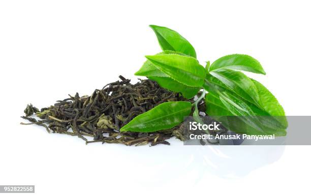 Green Tea Leaf Stock Photo - Download Image Now - Green Tea, Dried Tea Leaves, Leaf