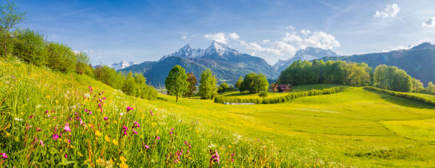 istock Idyllic mountain scenery in the Alps with blooming meadows in springtime 952823824