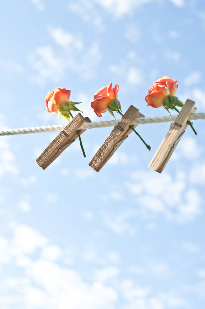 Flowers On A Clothesline