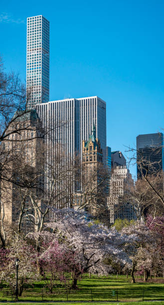 istock Central Park, New York City spring 952827608