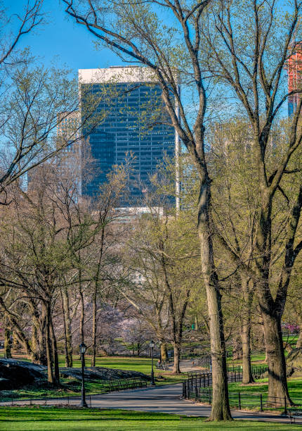 istock Central Park, New York City spring 952828978