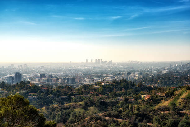 istock Downtown Los Angeles from Hollywood Hills 952831050