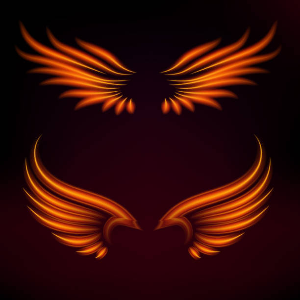 istock Bird fire wings vector fantasy feather burning fly mystic glow fiery burn hot art wings illustration on black 952835450