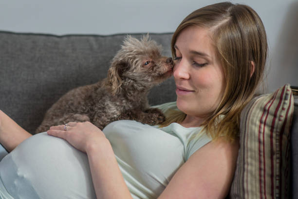 istock Pregnant Woman Resting With Pet Dog 952839936
