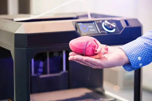 Photo of The heart printed on a 3d printer