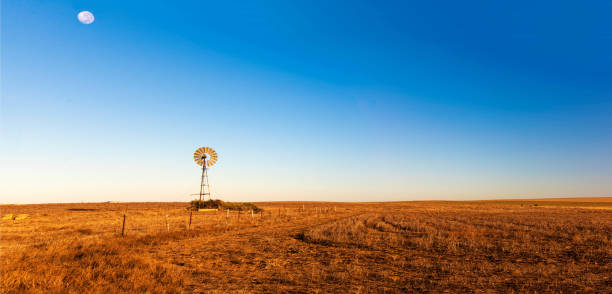 Panoramic view of early morning landscape with a windmill.